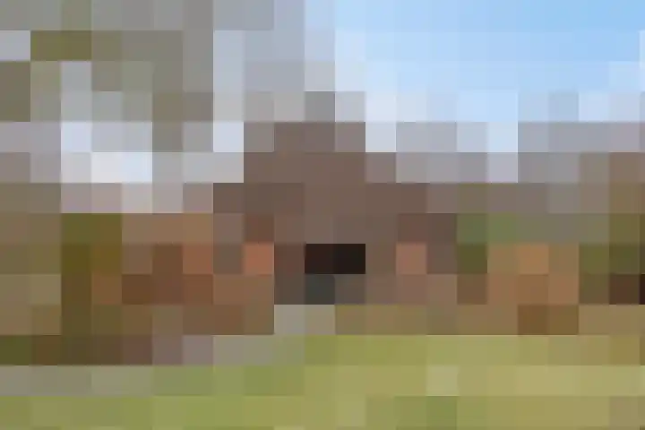 Lutkenend 9 Gasselte thumbnail 73