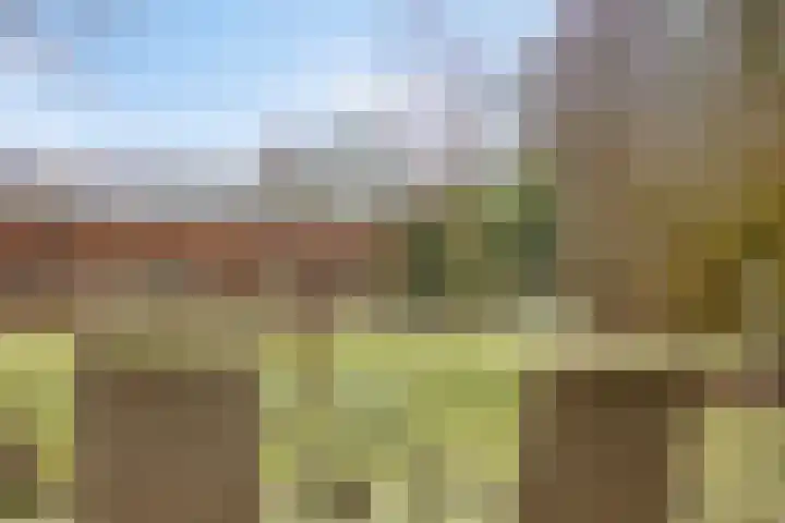 Lutkenend 9 Gasselte thumbnail 79