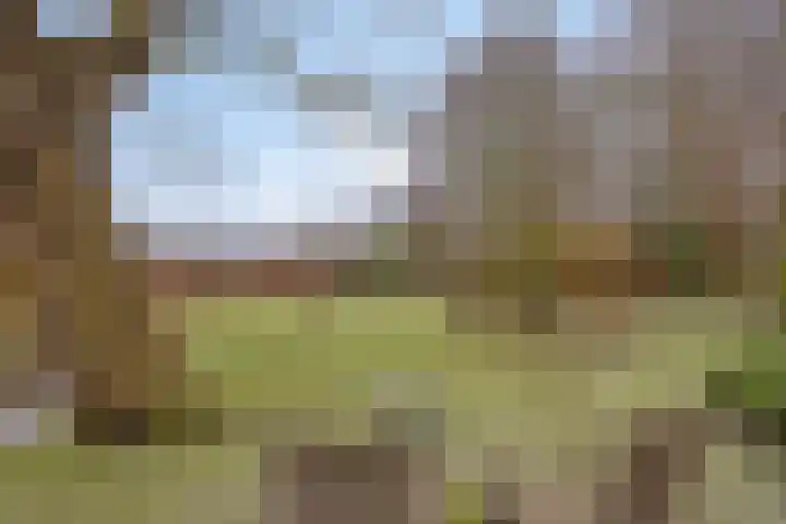 Lutkenend 9 Gasselte thumbnail 8