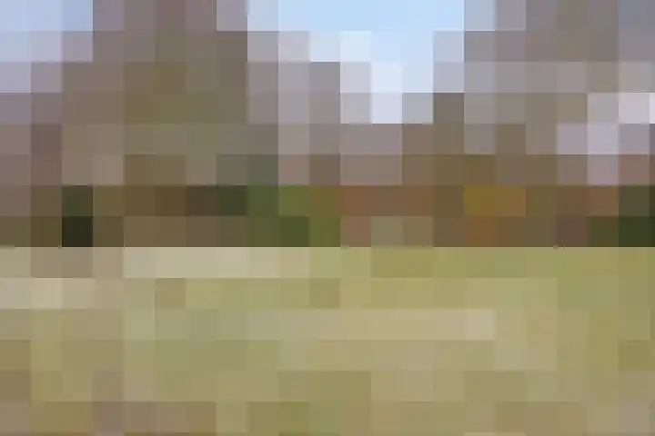 Lutkenend 9 Gasselte thumbnail 80