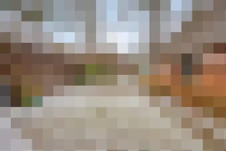 Lutkenend 9 Gasselte thumbnail 81