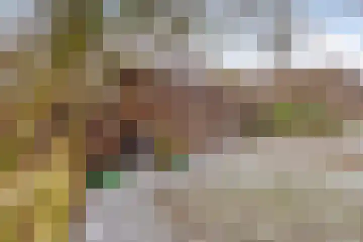 Lutkenend 9 Gasselte thumbnail 82