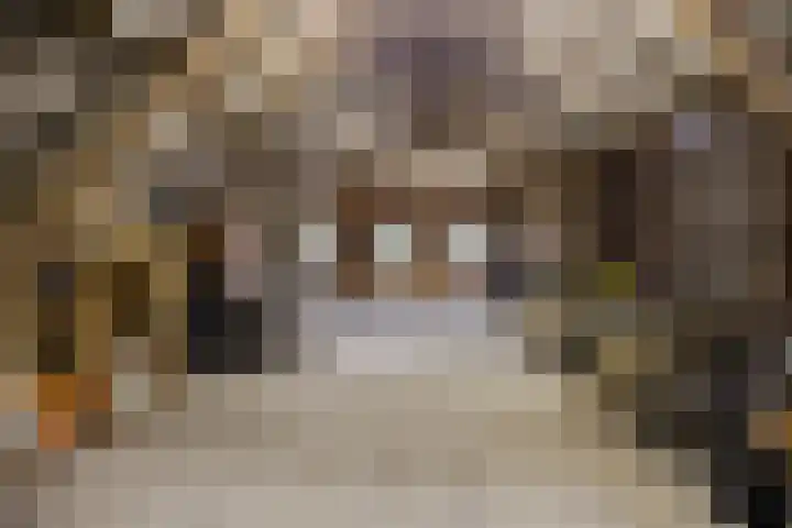 Lutkenend 9 Gasselte thumbnail 83