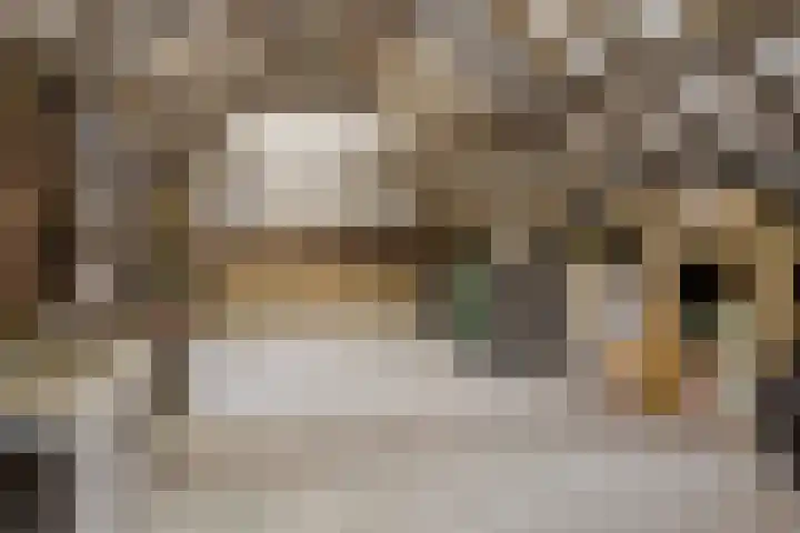 Lutkenend 9 Gasselte thumbnail 84