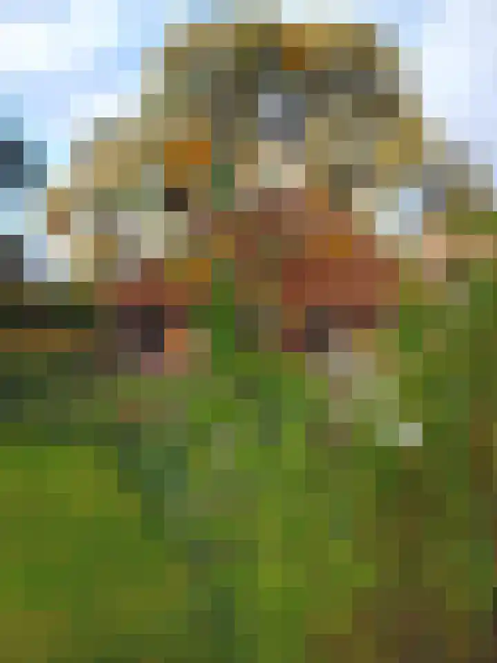 Lutkenend 9 Gasselte thumbnail 88
