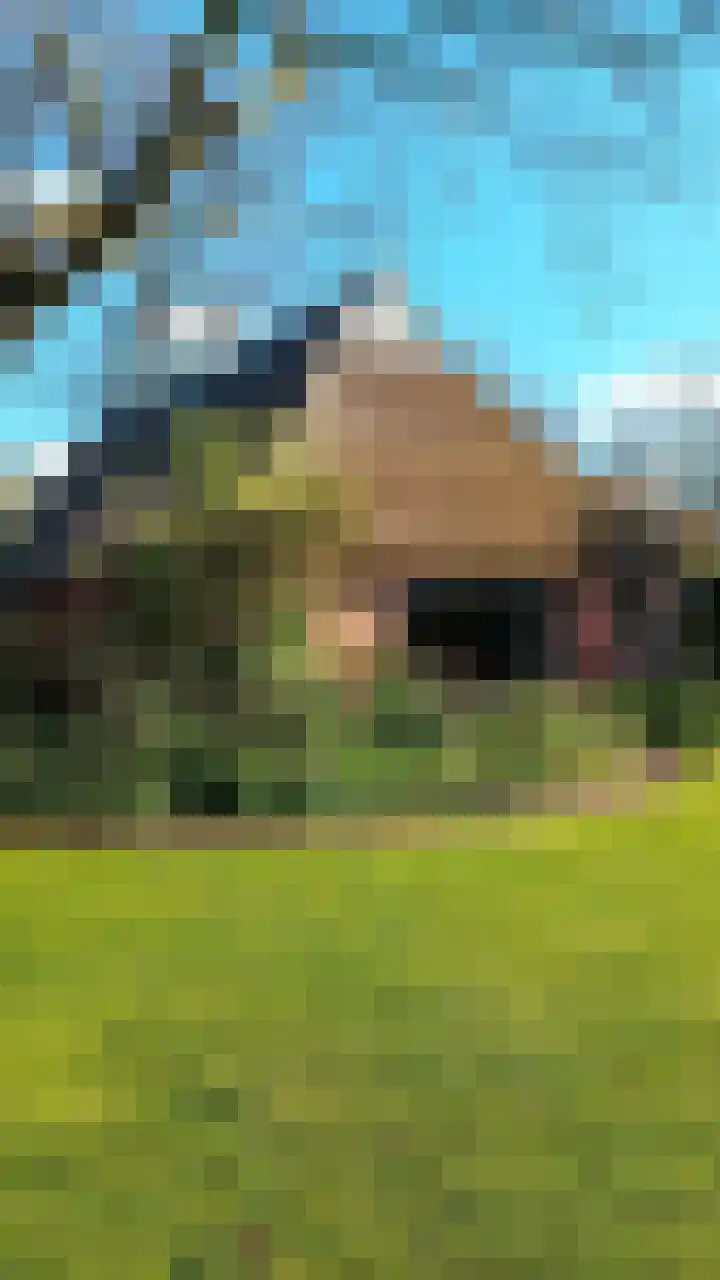 Lutkenend 9 Gasselte thumbnail 89
