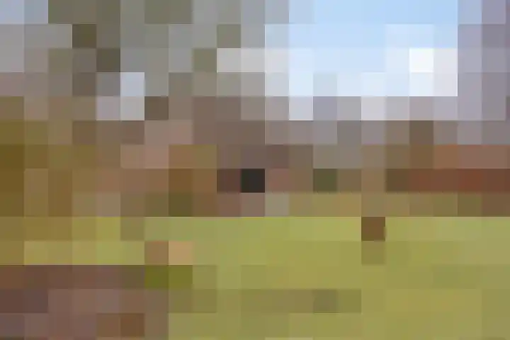 Lutkenend 9 Gasselte thumbnail 9