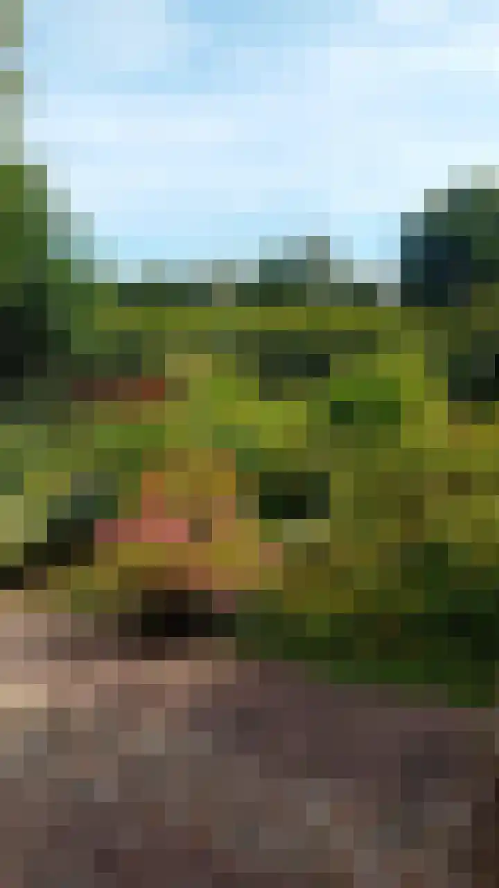 Lutkenend 9 Gasselte thumbnail 91