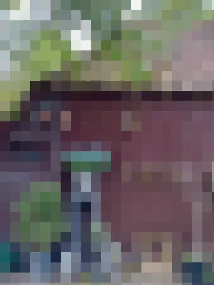 Lutkenend 9 Gasselte thumbnail 92