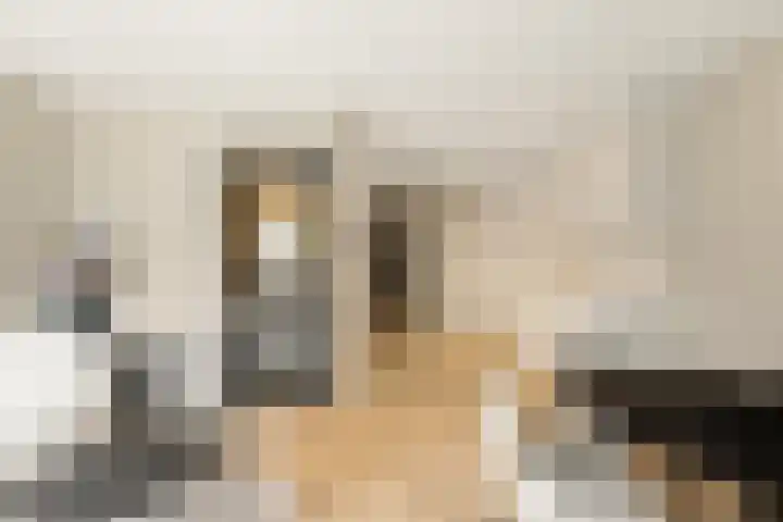 Lutonhof 333 Amsterdam thumbnail 12