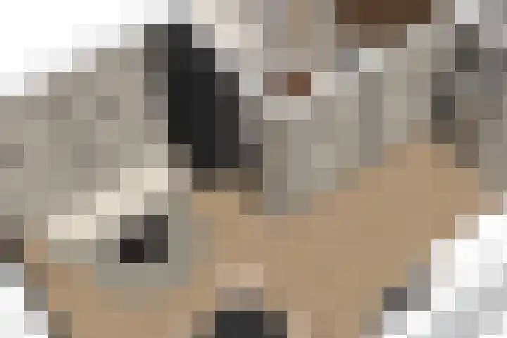 Lutonhof 333 Amsterdam thumbnail 31