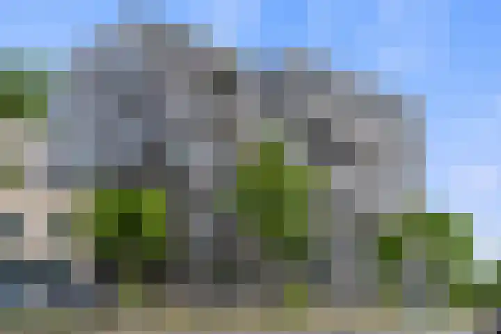 Lutonhof 333 Amsterdam thumbnail 4