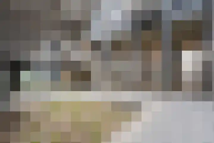 Lutonhof 333 Amsterdam thumbnail 5