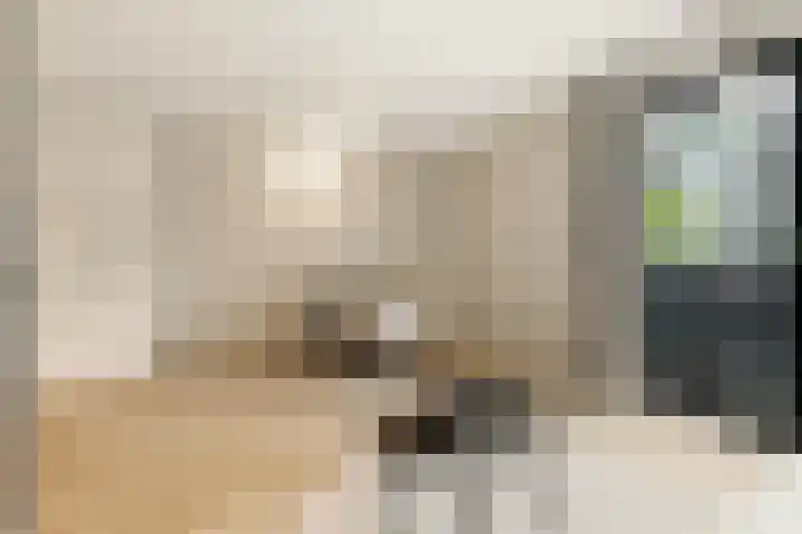 Lutonhof 333 Amsterdam thumbnail 9