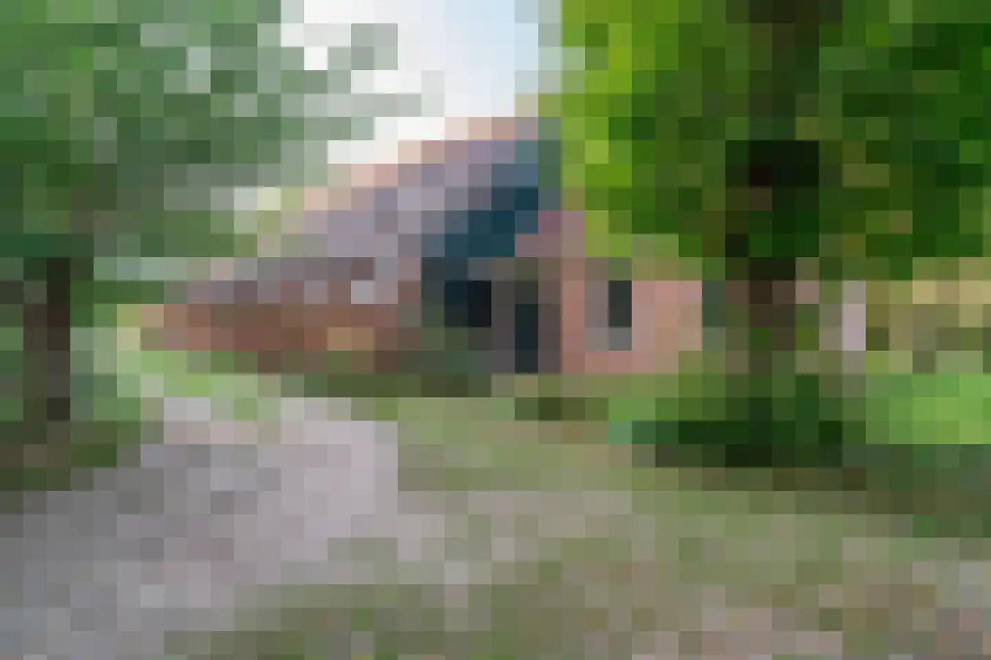 Lutsborgsweg 73 Haren Gn foto 3