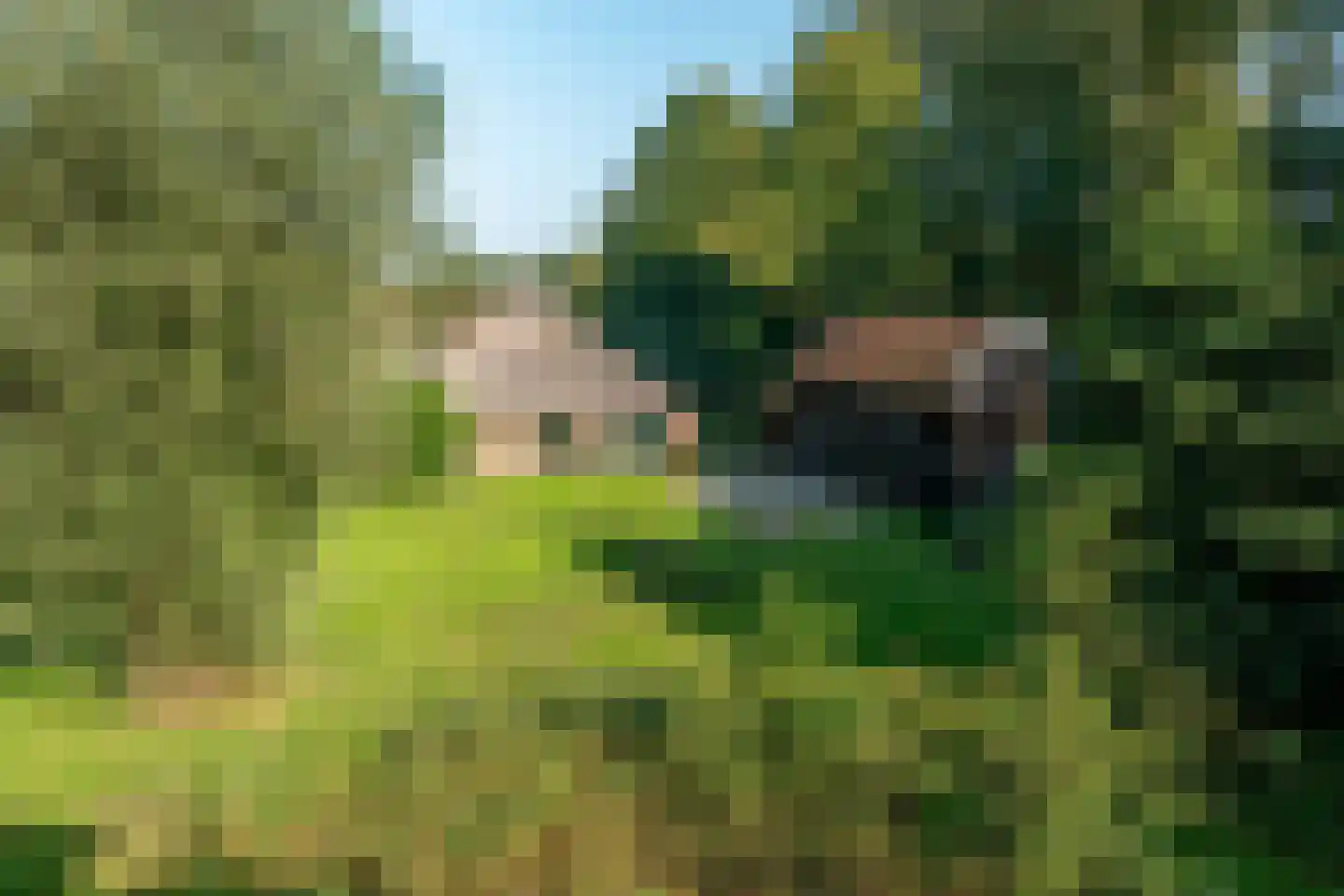 Lutsborgsweg 73 Haren Gn thumbnail 37