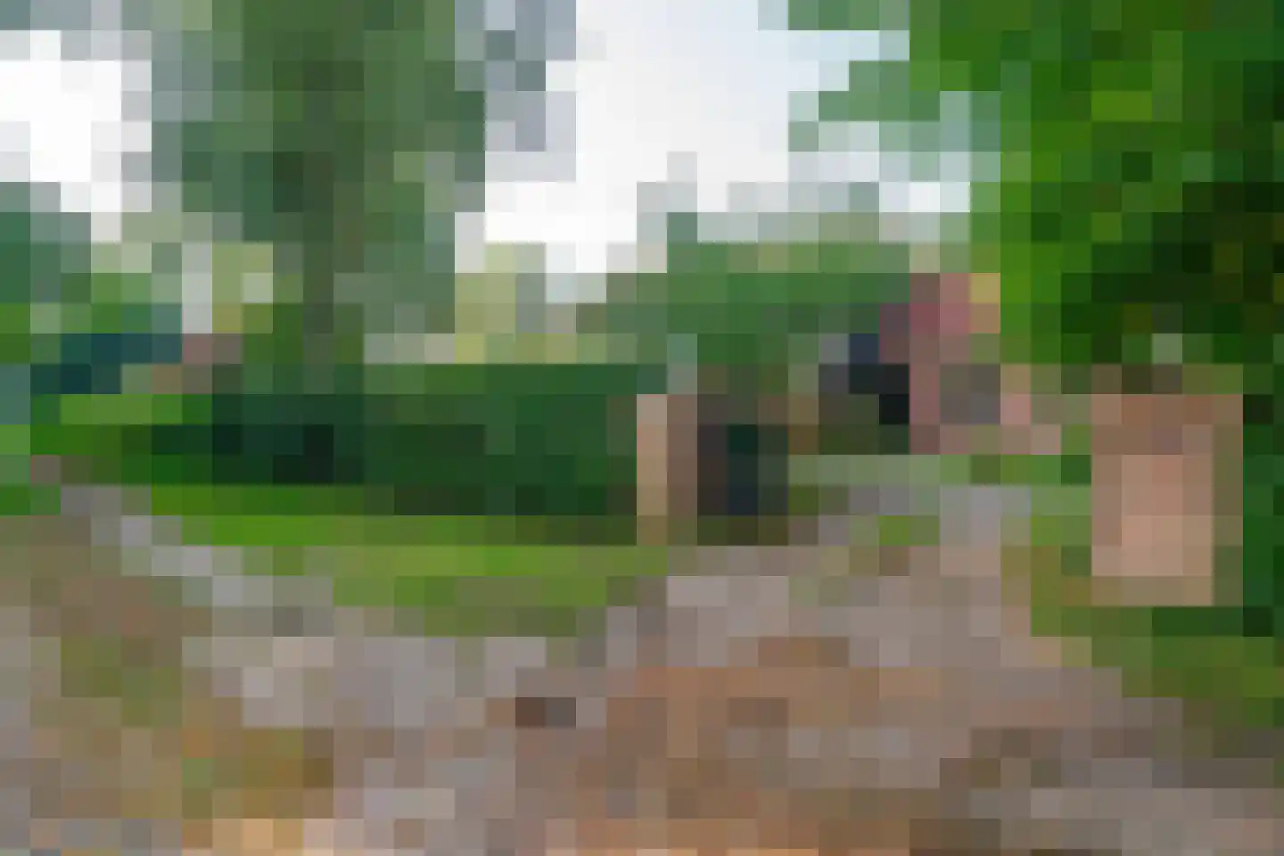 Lutsborgsweg 73 Haren Gn thumbnail 6