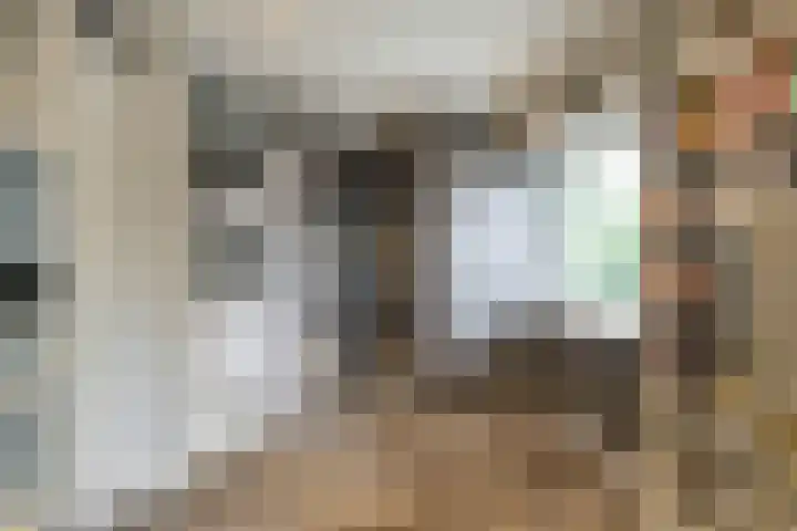 Lutterstraat 21 Losser thumbnail 22