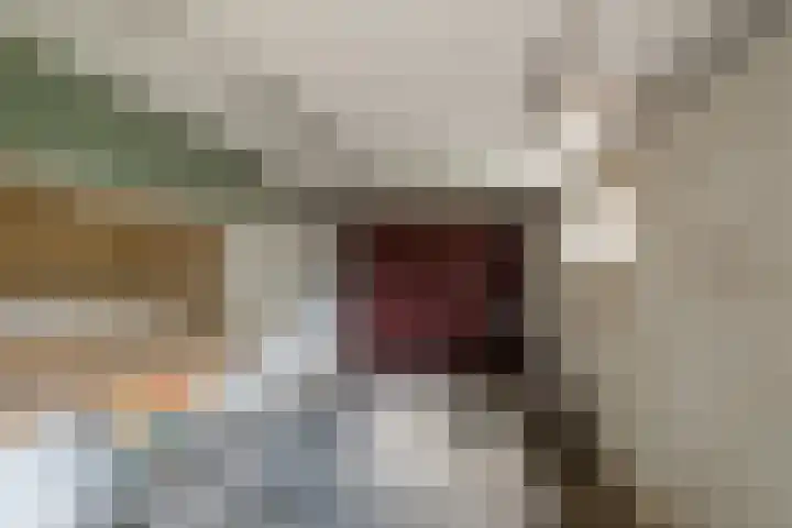Lutterstraat 21 Losser thumbnail 30