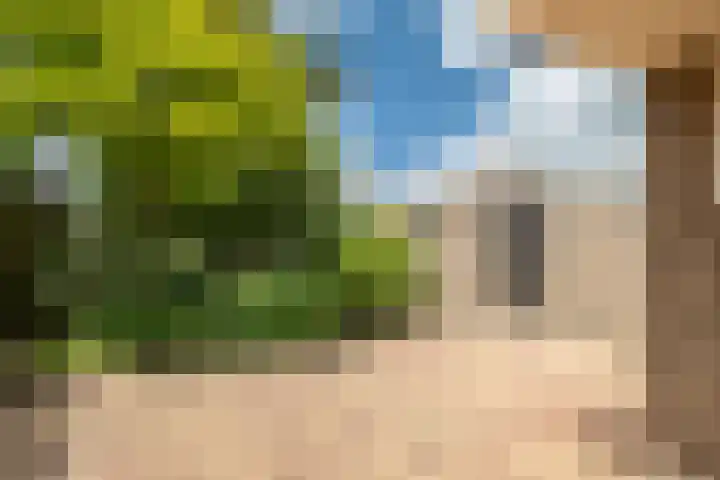 Lutterstraat 21 Losser thumbnail 32