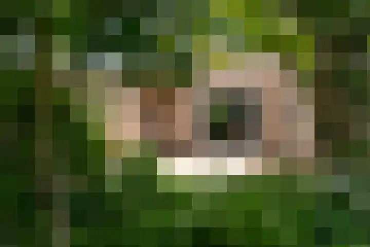 Lutterstraat 21 Losser thumbnail 38