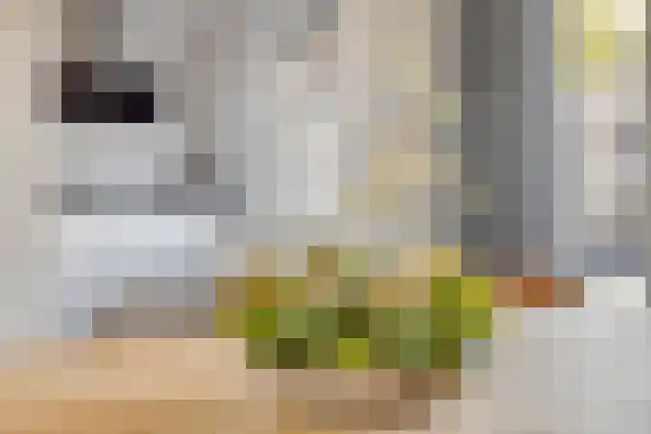 Lutterstraat 57 Losser thumbnail 22