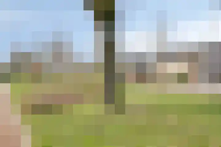 Lutterstraat 57 Losser thumbnail 45