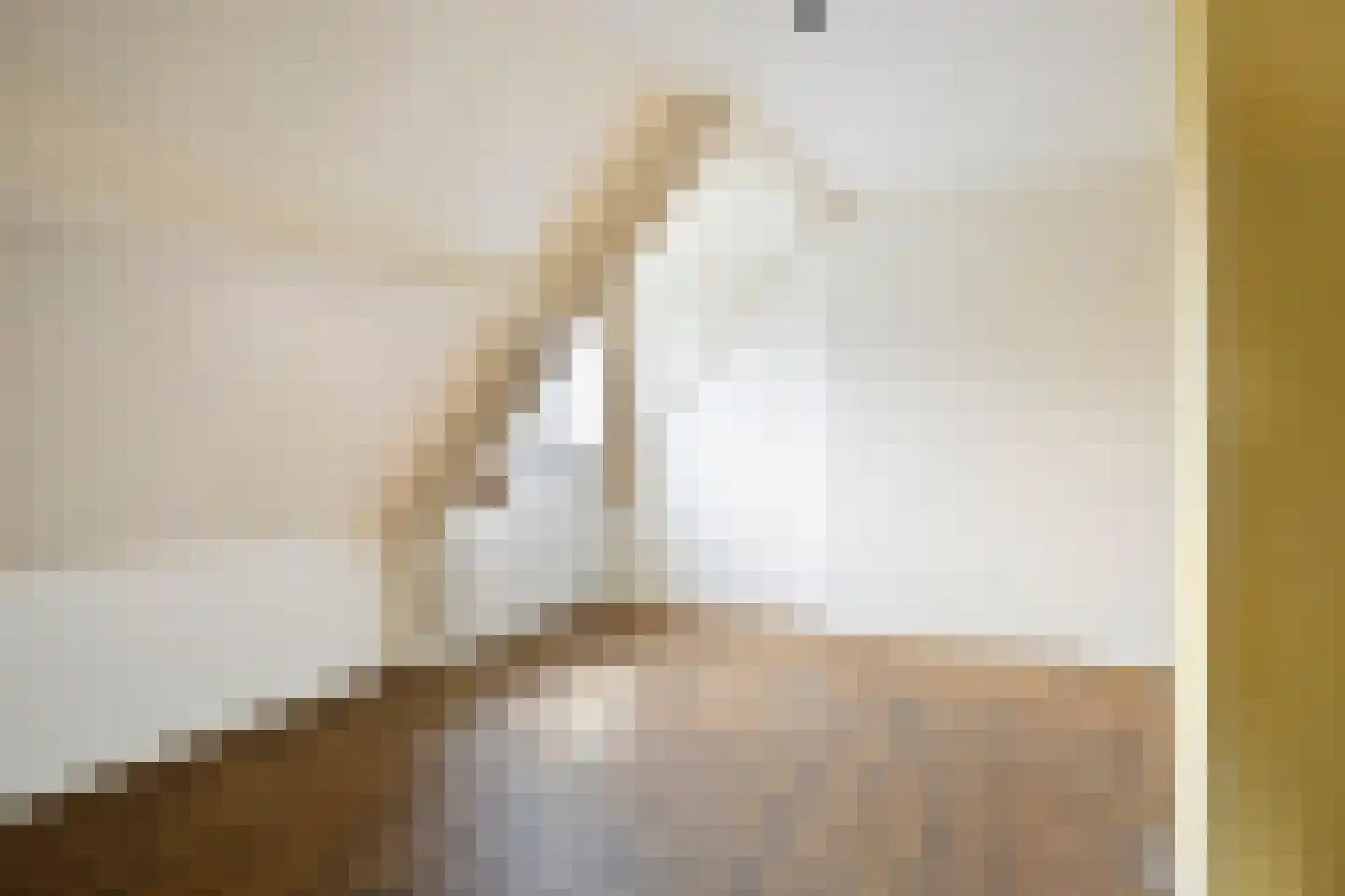 Lutterstraat 77 Losser thumbnail 24