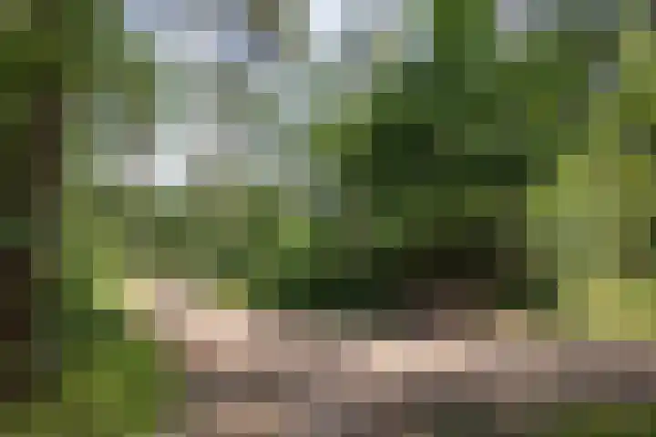 Lutterzandweg 12 B de Lutte thumbnail 26