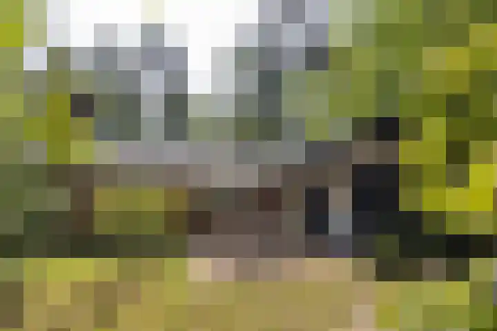 Lutterzandweg 12 B de Lutte thumbnail 4