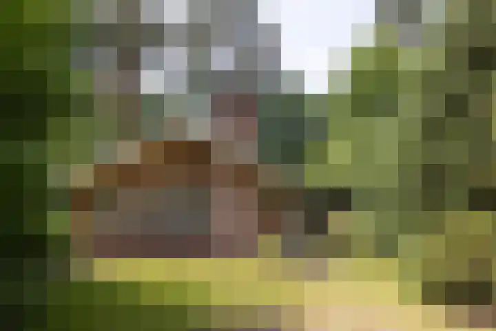 Lutterzandweg 12 B de Lutte thumbnail 5