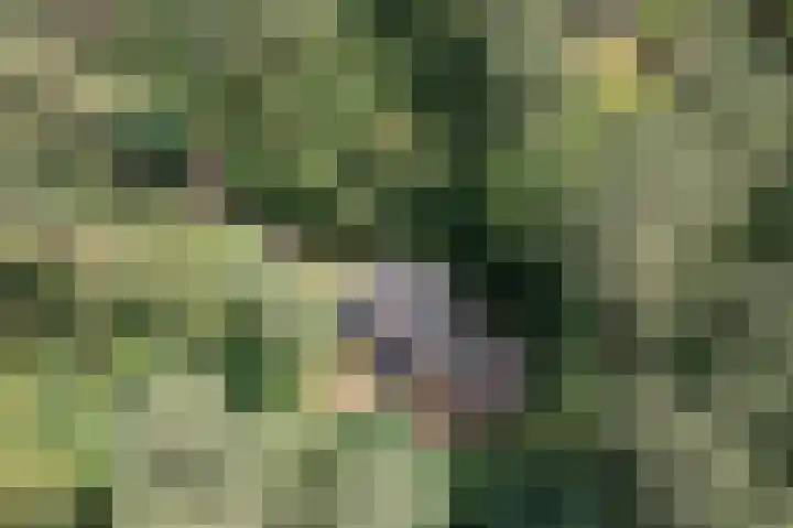 Lutterzandweg 12 B de Lutte thumbnail 6