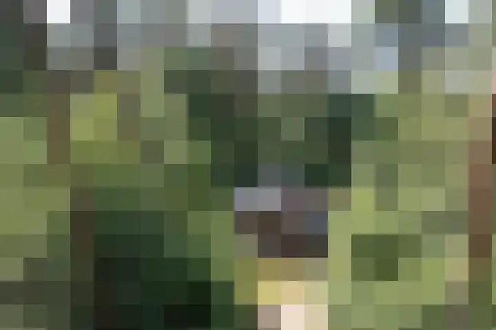 Lutterzandweg 12 B de Lutte thumbnail 7