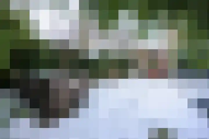 Lutulistate 11 Ede thumbnail 26