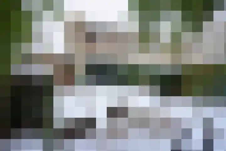 Lutulistate 11 Ede thumbnail 27