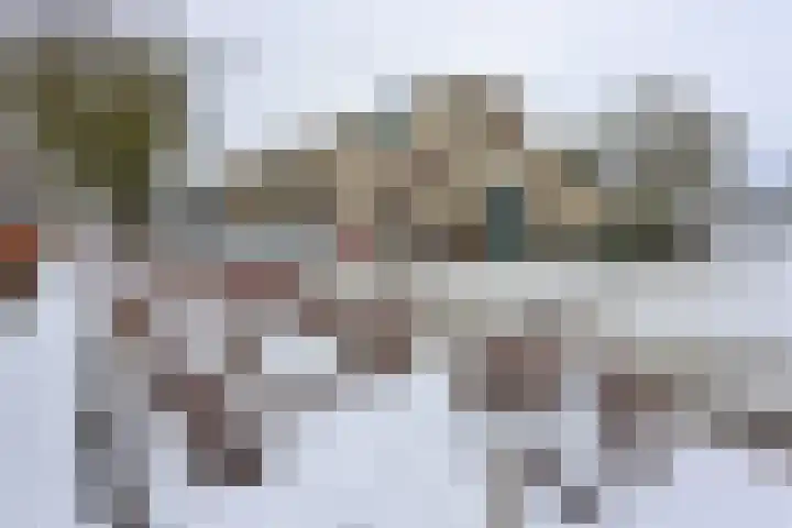 Lutulistate 11 Ede thumbnail 32