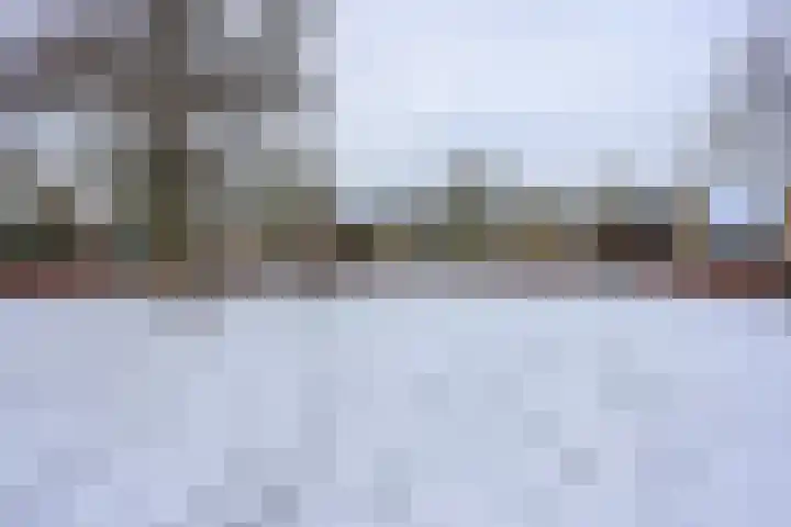 Lutulistate 11 Ede thumbnail 34