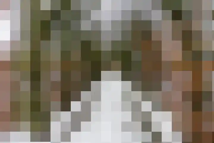 Lutulistate 11 Ede thumbnail 36