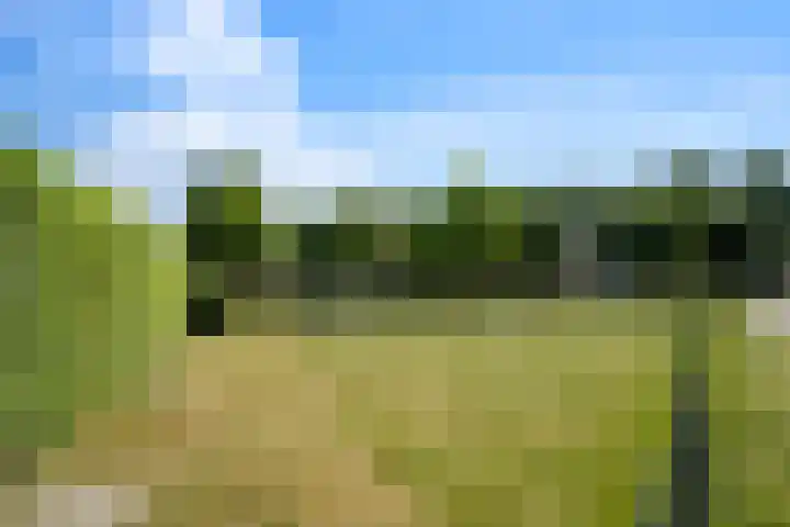 Lutulistate 46 Ede thumbnail 12