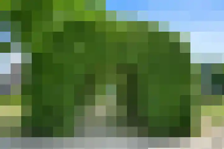 Lutulistate 46 Ede thumbnail 13
