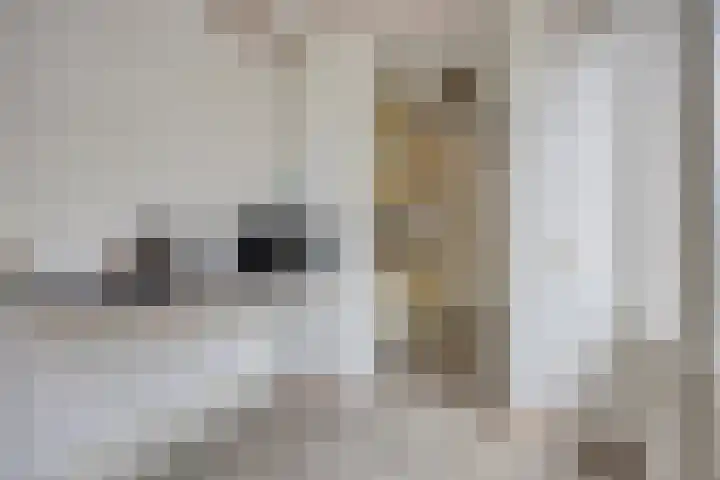 Lutulistate 46 Ede thumbnail 14