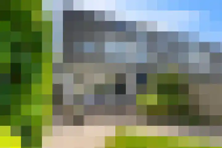 Lutulistate 46 Ede thumbnail 15