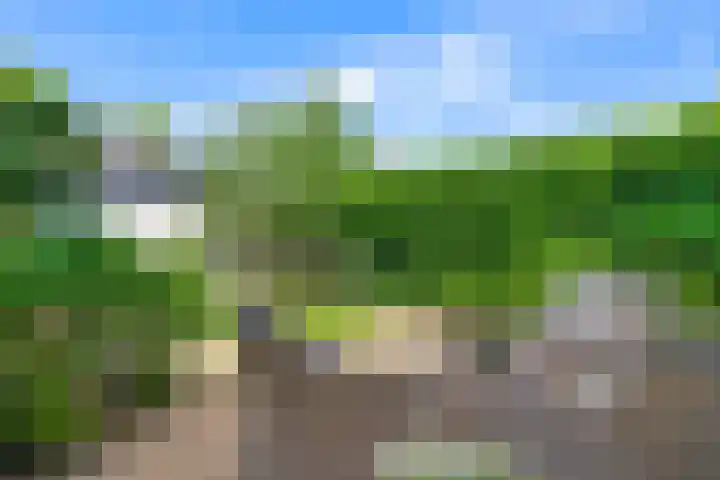 Lutulistate 46 Ede thumbnail 17