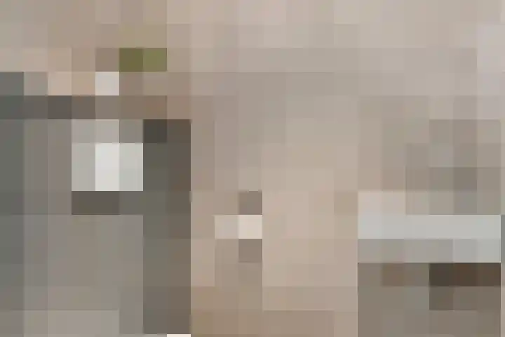 Lutulistate 46 Ede thumbnail 23