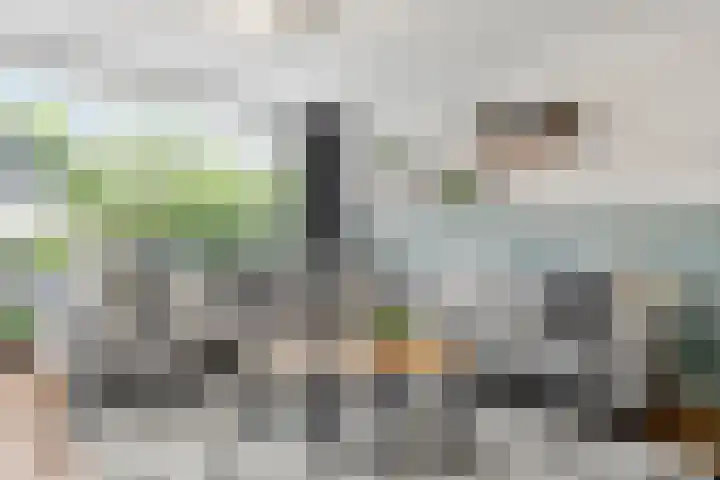 Lutulistate 46 Ede thumbnail 24