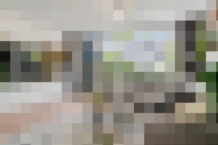 Lutulistate 46 Ede thumbnail 26