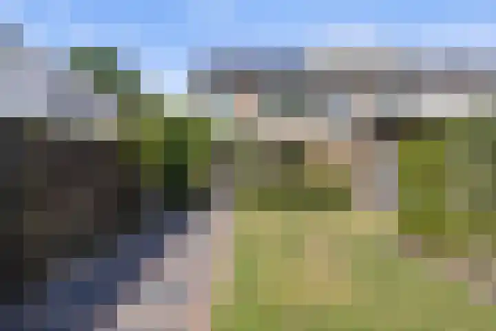 Lutulistate 46 Ede thumbnail 28