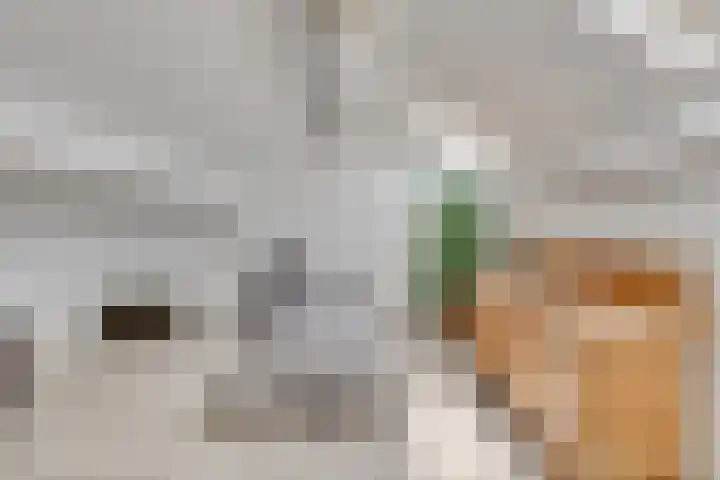 Lutulistate 46 Ede thumbnail 34