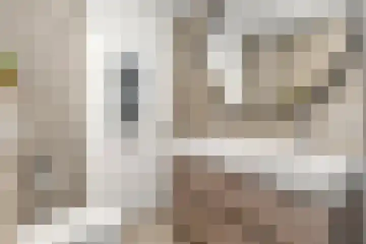 Lutulistate 46 Ede thumbnail 42