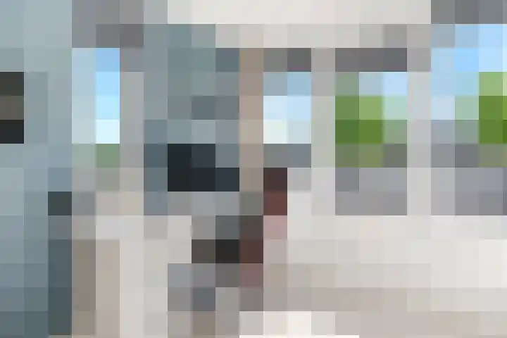 Lutulistate 46 Ede thumbnail 48